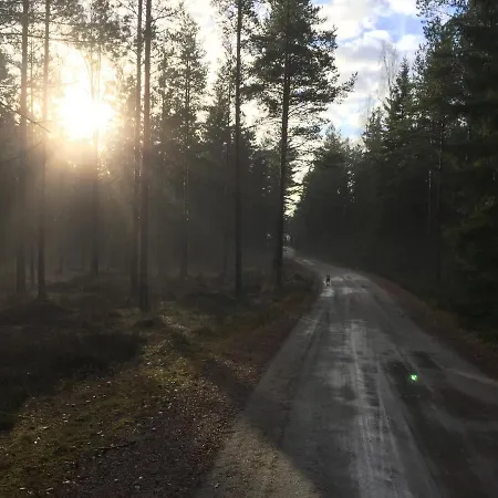 Triangle Leirintäalueet *