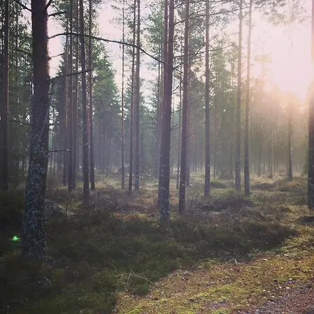 Triangle Leirintäalueet