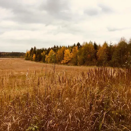 Leirintäalueet Triangle