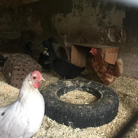 营地 Triangle Laitila