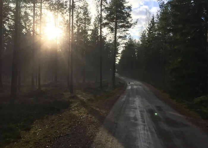 Triangle Кемпинг *