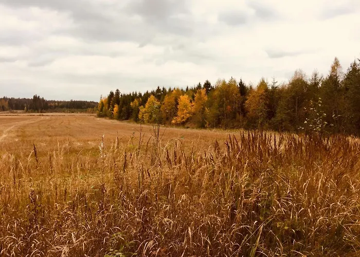 Кемпинг Triangle