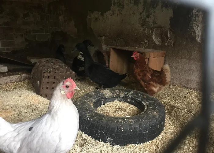 Кемпинг Triangle Laitila