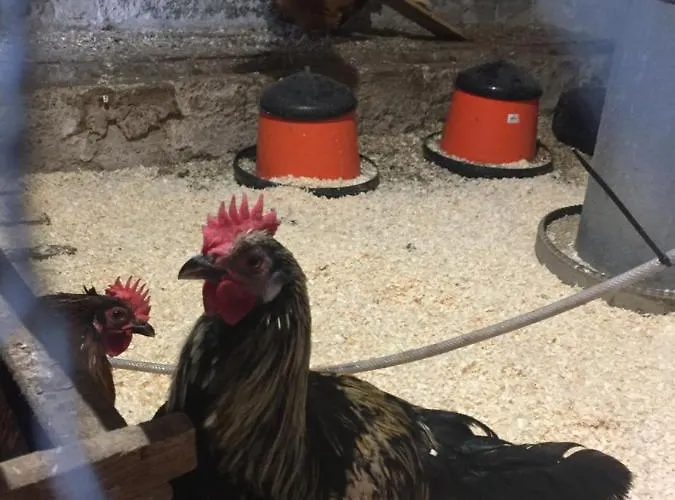 Кемпинг Triangle *