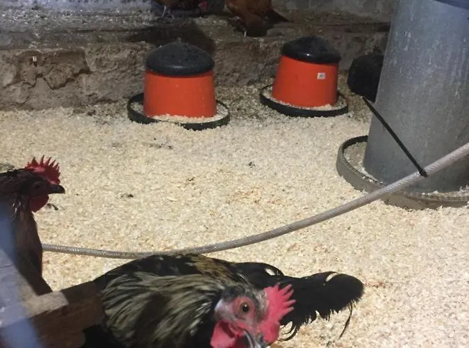 مكان تخييم Triangle *