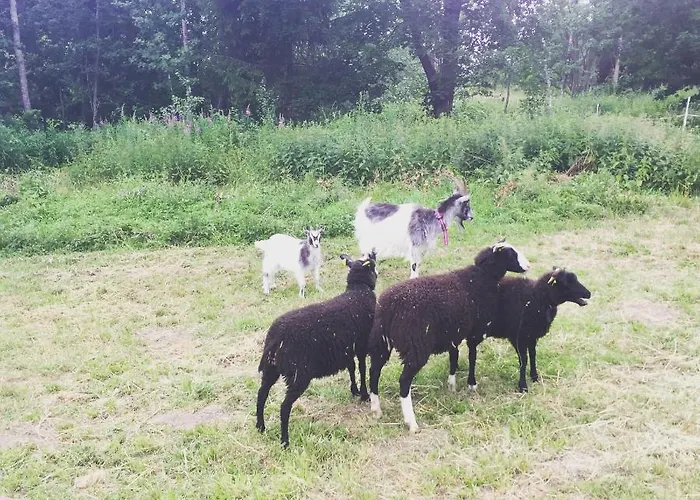 مكان تخييم Triangle Laitila